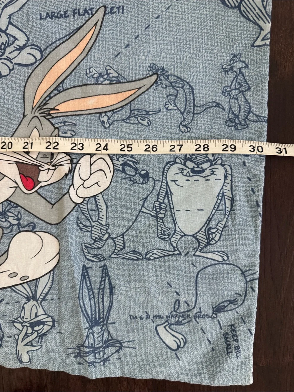 Vtg 1990's Warner Bros Pillow Two Cases Looney Tunes Bugs Bunny Daffy Duck Taz